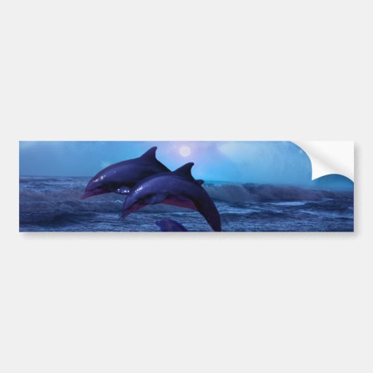 イルカ遊の海 バンパーステッカー (正面)