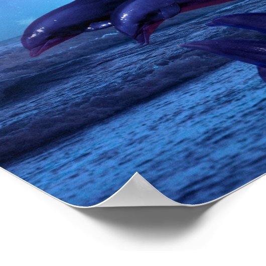 イルカ遊の海 ポスター (角)