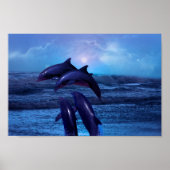 イルカ遊の海 ポスター (正面)