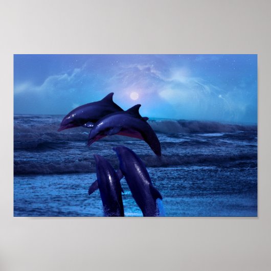 イルカ遊の海 ポスター (正面)