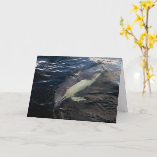 イルカ遊泳 カード (黄色い花)