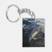 イルカ遊泳 キーホルダー (正面左)