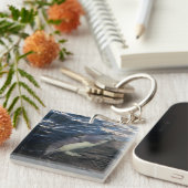 イルカ遊泳 キーホルダー (正面右)