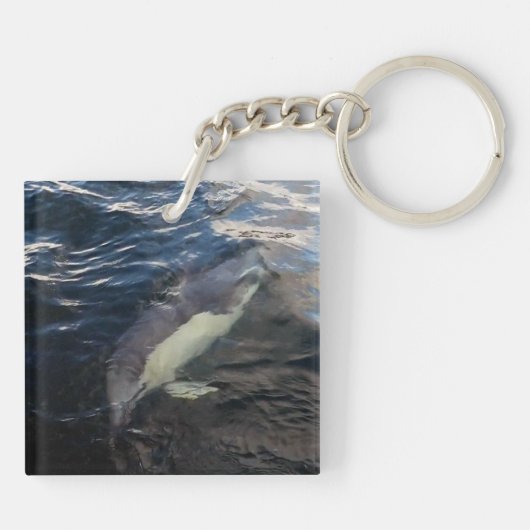 イルカ遊泳 キーホルダー (裏面)