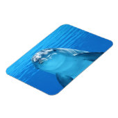 イルカ顔アップ マグネット (左側)