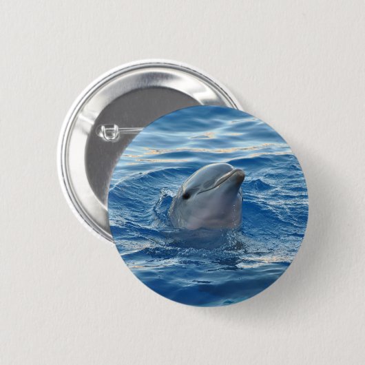 イルカ顔海かわいい写真 缶バッジ (正面&裏面)