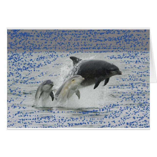 イルカ (正面横)