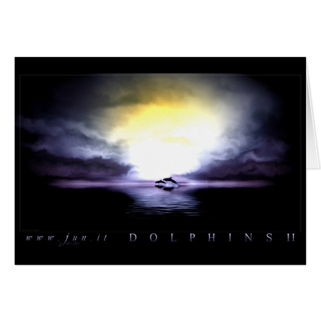 イルカ2 (正面横)