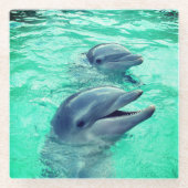 イルカ ガラスコースター (正面)