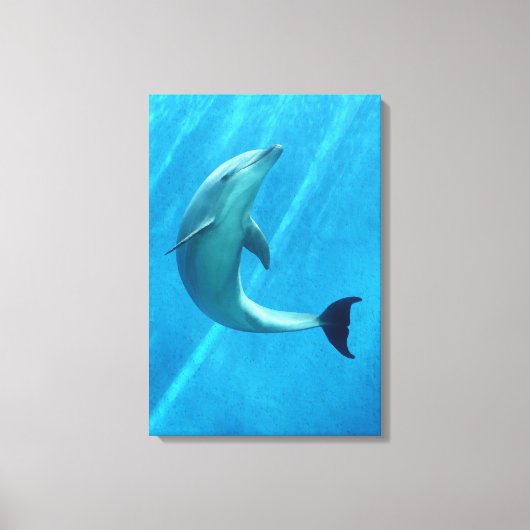 イルカ キャンバスプリント (正面)