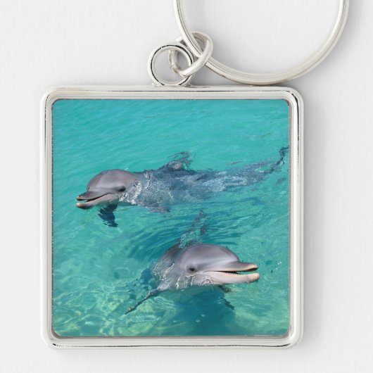 イルカ キーホルダー (正面)