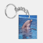 イルカ キーホルダー (正面左)