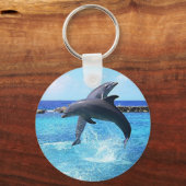 イルカ キーホルダー (正面)