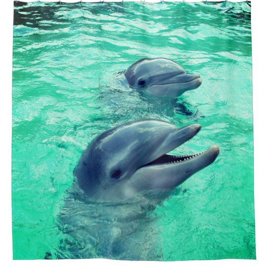 イルカ シャワーカーテン (正面)