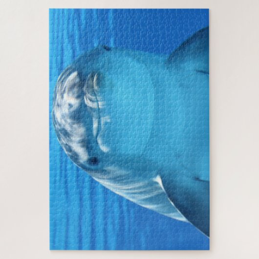 イルカ ジグソーパズル (縦)