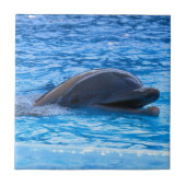 イルカ タイル (正面)