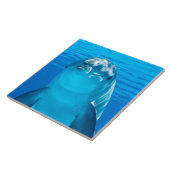 イルカ タイル (側面)