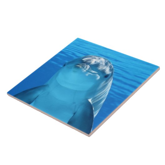 イルカ タイル (側面)