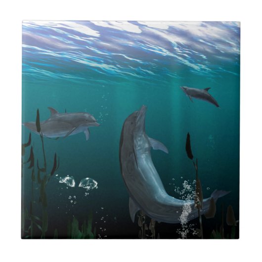 イルカ タイル (正面)