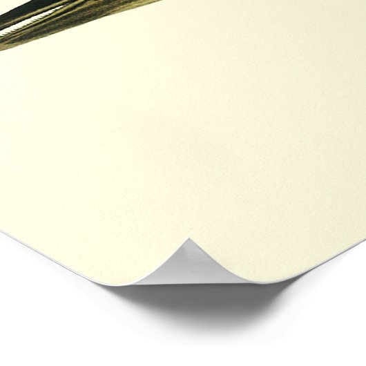 イルカ デルフィヌス デルフィス、アンティーク海洋哺乳類 ポスター (角)