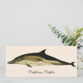 イルカ デルフィヌス・デルフィス, ヴィンテージの海洋動物 (スタンド正面)