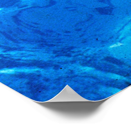 イルカ ポスター (角)