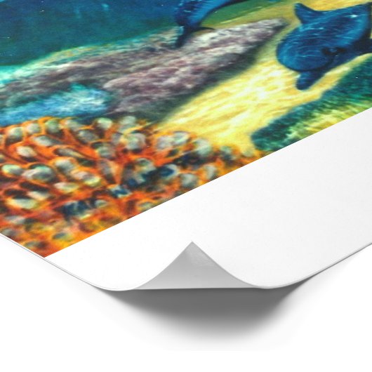 イルカ ポスター (角)