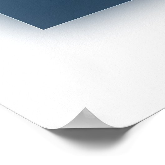 イルカ ポスター (角)