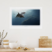 イルカ ポスター (キッチン)