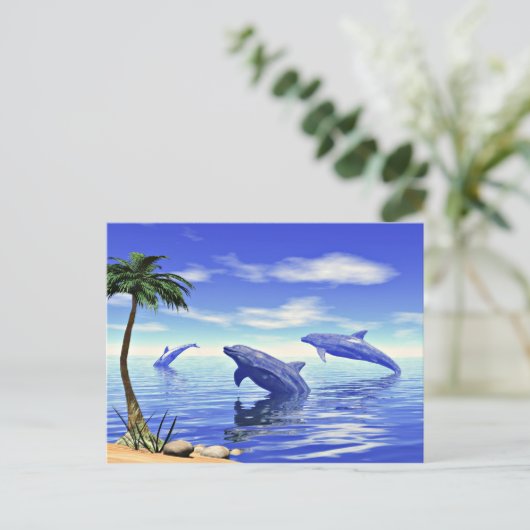 イルカ ポストカード (スタンド正面)