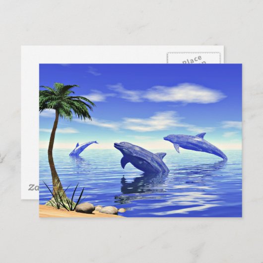 イルカ ポストカード (正面/裏面)