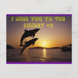 イルカ ポストカード