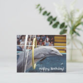 イルカ ポストカード (スタンド正面)