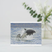 イルカ ポストカード (スタンド正面)