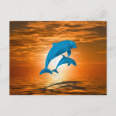 イルカ ポストカード (正面)