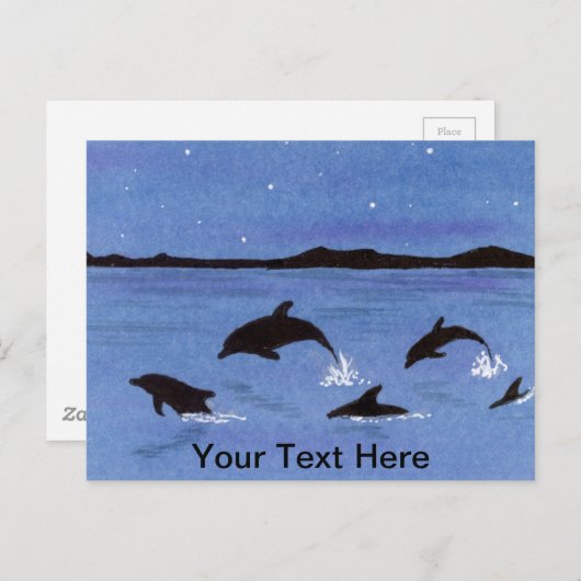 イルカ ポストカード (正面/裏面)