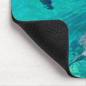 イルカ マウスパッド (コーナー)