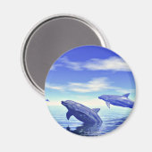 イルカ マグネット (正面/裏面)