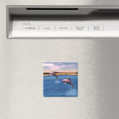 イルカ マグネット (インサイチュ (食洗機))