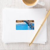 イルカ ラベル (インサイチュ)