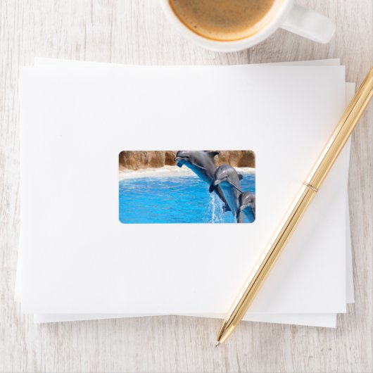 イルカ ラベル (インサイチュ)