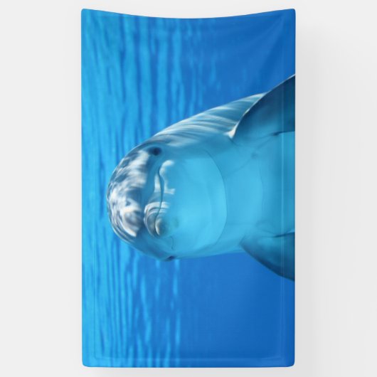 イルカ 横断幕 (縦)