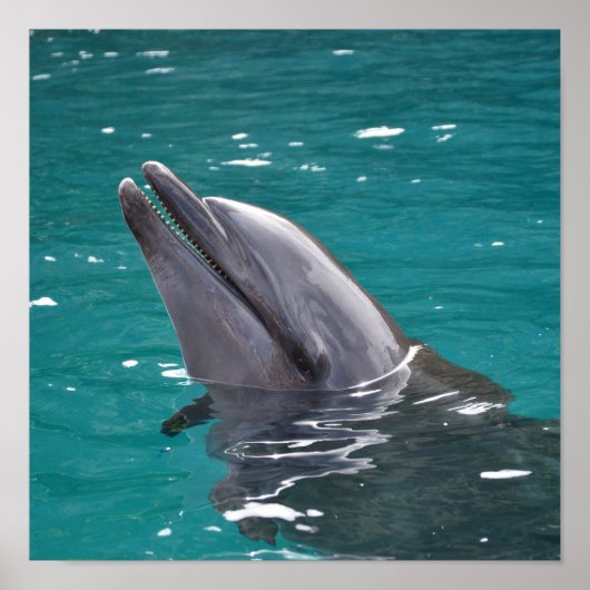 イルカ（緑） ポスター (正面)