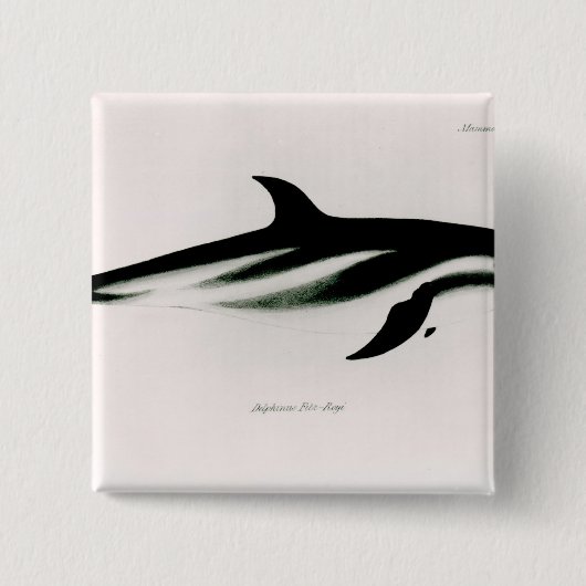 イルカ 缶バッジ (正面)