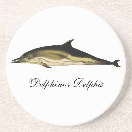 イルカ Delphinus Delphis, ヴィンテージ海洋動物 コースター (正面)