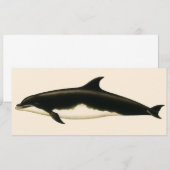 イルカ Delphinus Tursio、ヴィンテージ海洋動物 (正面/裏面)