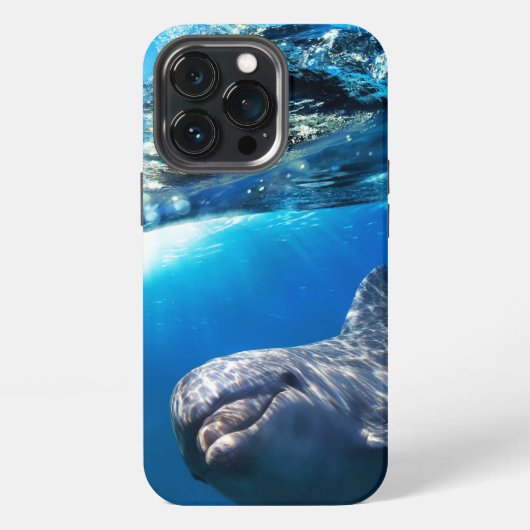 イルカ  iPhoneケース (裏面)