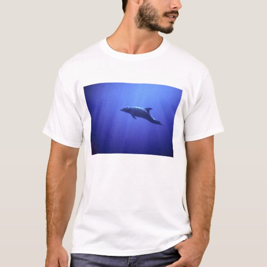 イルカ Tシャツ (正面)
