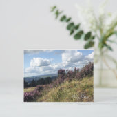 イルクリームーアはがき ポストカード (スタンド正面)