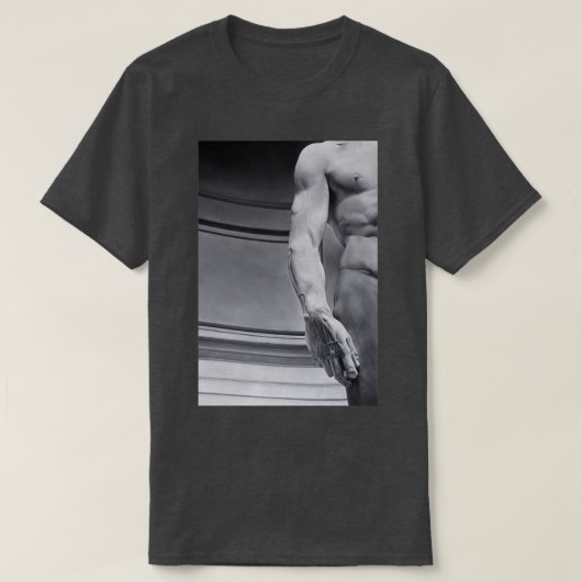 イルダビデ Tシャツ (デザイン正面)